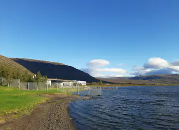 Hot Spring - Bake bread in the ground