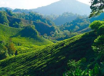 malaysia/ipoh/attraction/ipoh-secrets-tours