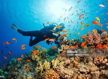 israel/eilat/attraction/aqaba-frogman-diving-center
