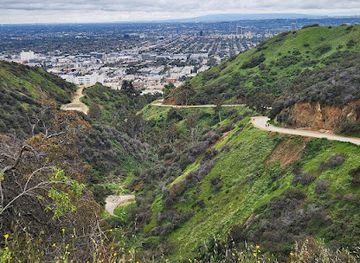 california/los-angeles-county/attraction/runyon-canyon-park