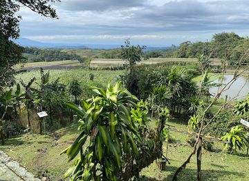 costa-rica/limon/attraction/bosque-nuboso-el-cocora