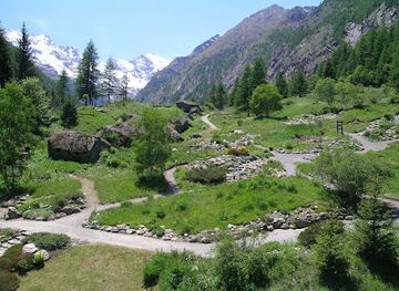 italy/gran-paradiso-national-park/attraction/giardino-botanico-alpino-paradisia