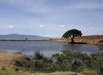 Massai Dorf
