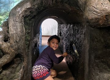 South Shore YMCA Natural Science