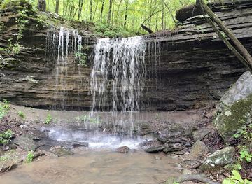 arkansas/ozark-national-forest/attraction/pig-trail-falls