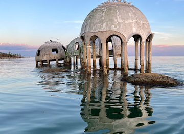 florida/marco-island/attraction/dreamlander-tours-of-marco-island