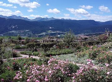 italy/trentino-alto-adige/attraction/giardino-della-rosa