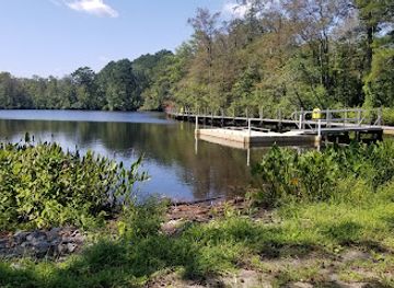 maryland/pocomoke-river-state-park/attraction/cypress-park-nature-trail