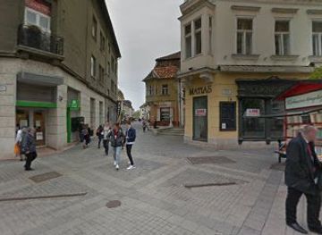 hungary/gyor/attraction/halas-szokokut