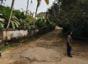 india/trivandrum/attraction/aliyans-location