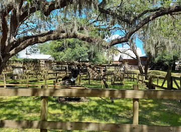 florida/sun-coast/attraction/cracker-country