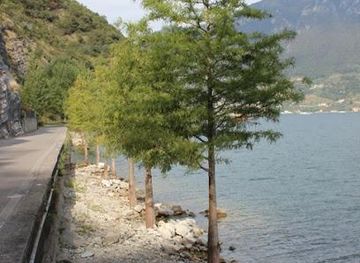 italy/bergamo/attraction/taxodi