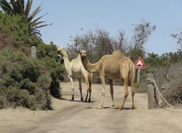 namibia/erongo/attraction/swakopmund-paintball-centre-adventure-park