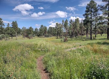 arizona/white-mountains/attraction/white-mountain-nature-center