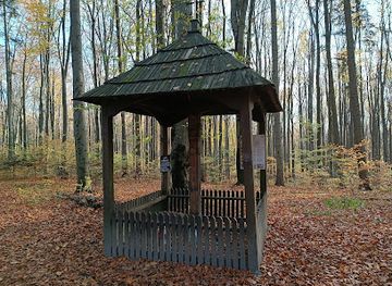 poland/holy-cross-mountains/attraction/polana-obrazik