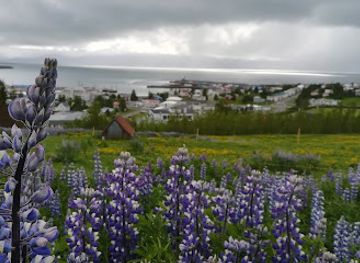iceland/husavik-area/attraction/skalamelur-husavik