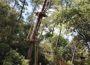 france/vendée-coast/attraction/feeling-forest
