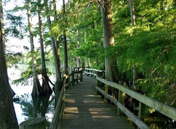 tennessee/northwest-tennessee/attraction/reelfoot-lake-state-park