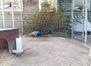 canada/lanaudiere/attraction/fermette