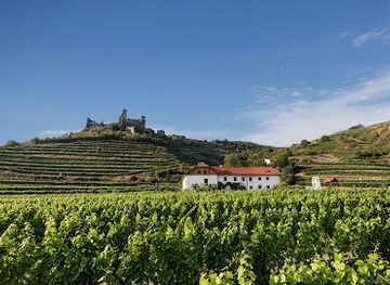 austria/thermenregion/attraction/winery-nigl