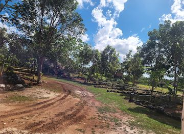 belize/corozal-district/attraction/north-eastern-biological-corridor-field-station