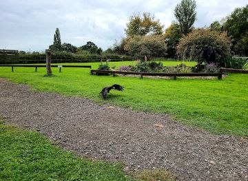 united-kingdom/north-west-england/attraction/gauntlet-birds-of-prey-eagle-vulture-park-knutsford