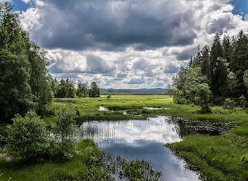 sweden/vastergotland/attraction/vanga-bog-nature-reserve
