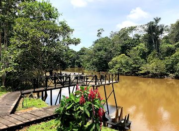 ecuador/amazon/attraction/waita-amazon-lodge