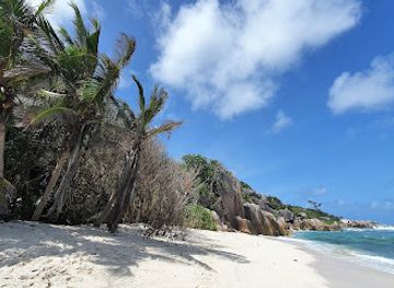seychelles/ile-ronde/attraction/anse-aux-cedres