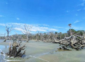 south-carolina/sea-islands/attraction/bull-island