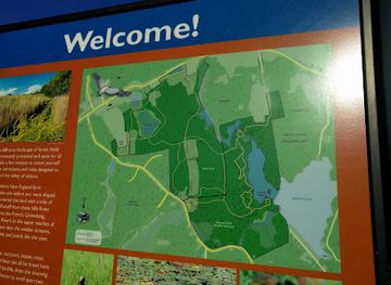 massachusetts/worcester-county/attraction/mass-audubon-burncoat-pond-wildlife-sanctuary