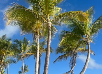 dominican-republic/bavaro/attraction/traumhafter-strand-by-aj