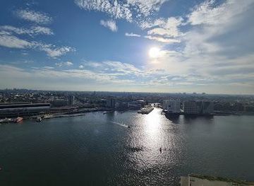netherlands/haarlem/attraction/a-dam-lookout