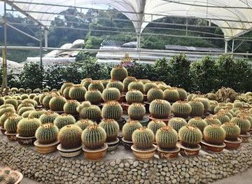 malaysia/ipoh/attraction/cactus-valley
