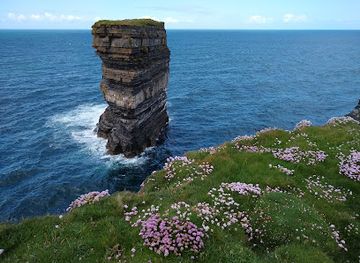 ireland/county-mayo/attraction/downpatrick-head