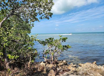 florida/marathon-key/attraction/curry-hammock-state-park-trail