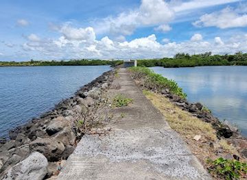 mauritius/riviere-du-rempart/attraction/pointe-lascar