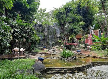 indonesia/east-java/attraction/maharani-zoo-cave