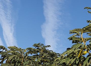 iraq/erbil/attraction/akkad-park