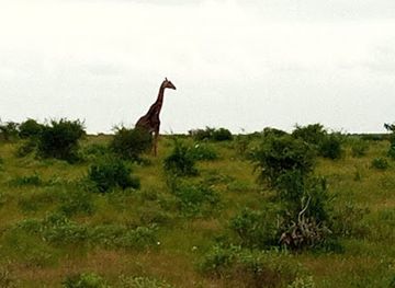 kenya/taita-hills/attraction/tsavo-east-sala-gate