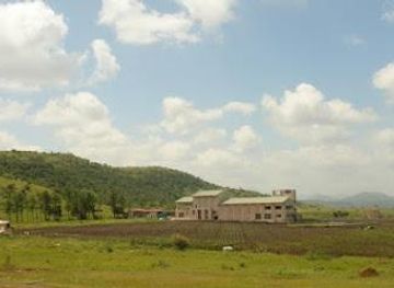 india/nashik/attraction/york-winery-tasting-room