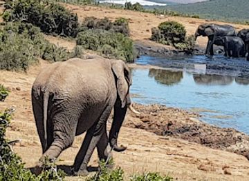 south-africa/addo-elephant-national-park/attraction/kadouw-lookout
