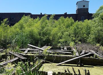 indiana/the-knobs/attraction/loop-island-wetlands