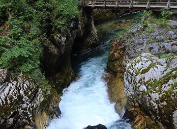slovenia/kranjska-gora/attraction/soteska-vintgar