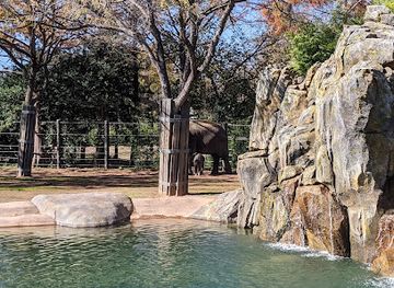 texas/gulf-coast/attraction/gulf-coast-at-fort-worth-zoo