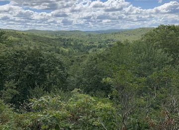 connecticut/litchfield-hills/attraction/better-place-forests-litchfield-hills