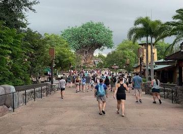 florida/orlando/attraction/wilderness-explorers