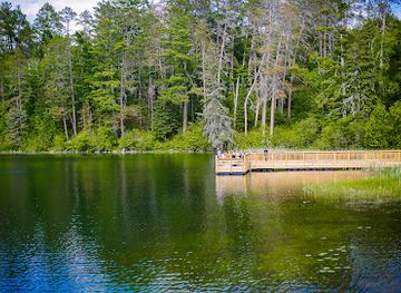 minnesota/mississippi-river-headwaters/attraction/lake-itasca-tours