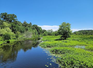 massachusetts/north-shore/attraction/mass-audubon-s-ipswich-river-wildlife-sanctuary