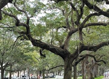 south-carolina/hilton-head-island/attraction/emmet-park